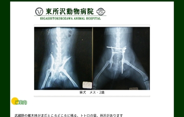 東所沢動物病院