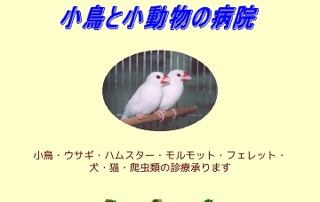 小鳥と小動物の病院