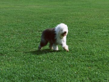 みずの動物クリニック