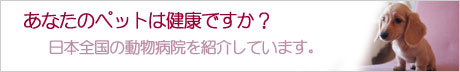 全国動物病院ＮＡＶＩ詳しく解説イメージ